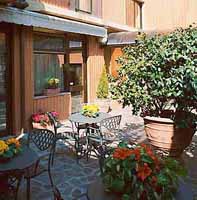 Grifone Hotel Florence picture